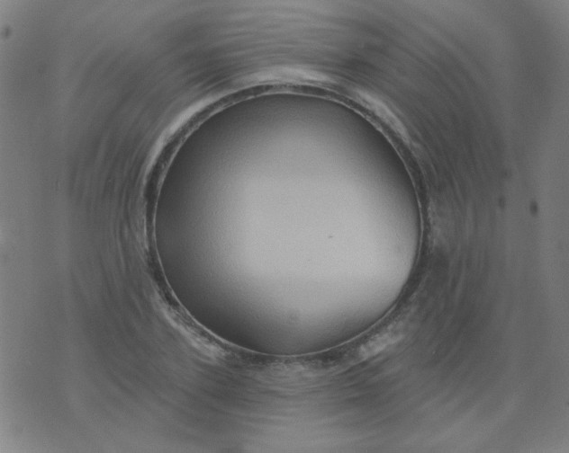 X0000070420931200606231849