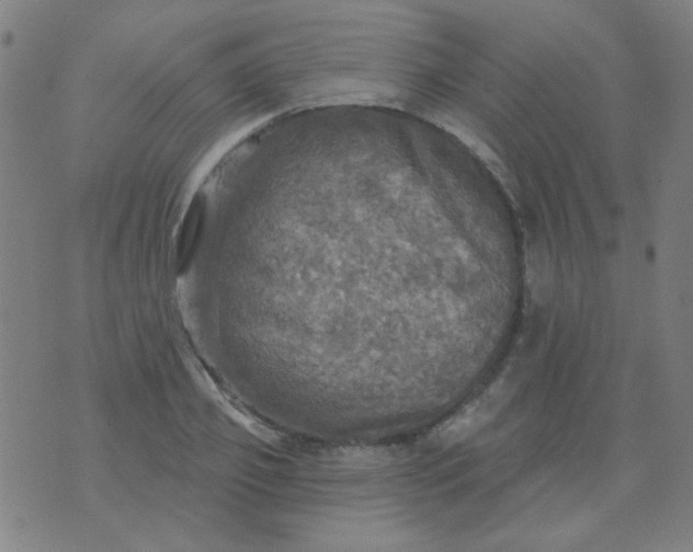 X0000070420933200606231849