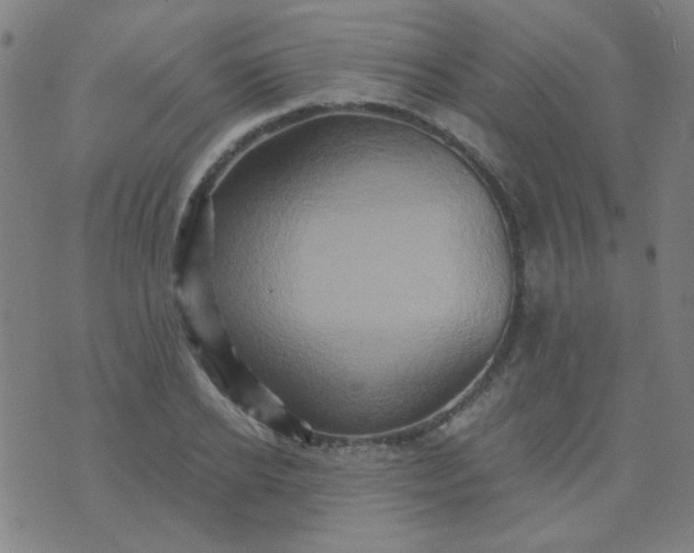 X0000070420934200606231849