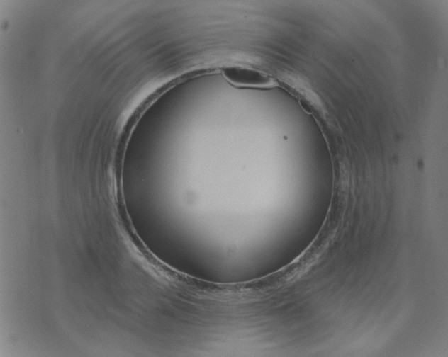 X0000070420936200606231849