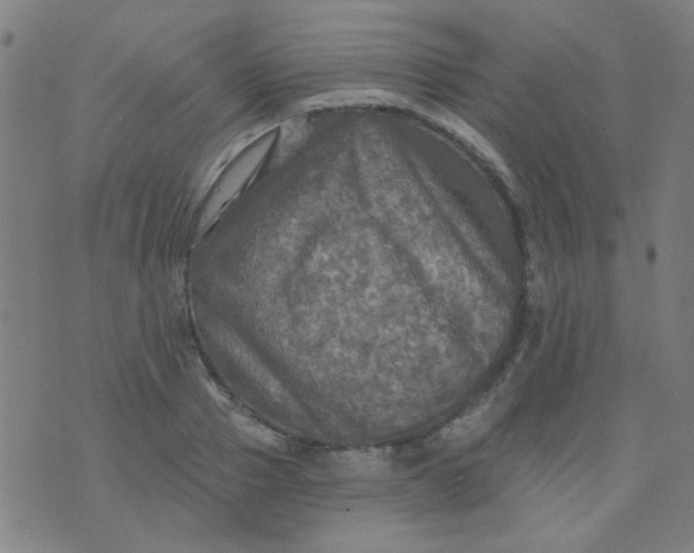 X0000070420937200606231849