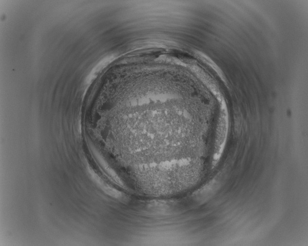 X0000070420938200606231849