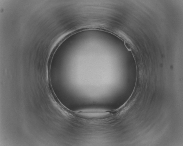 X0000070420940200606231849