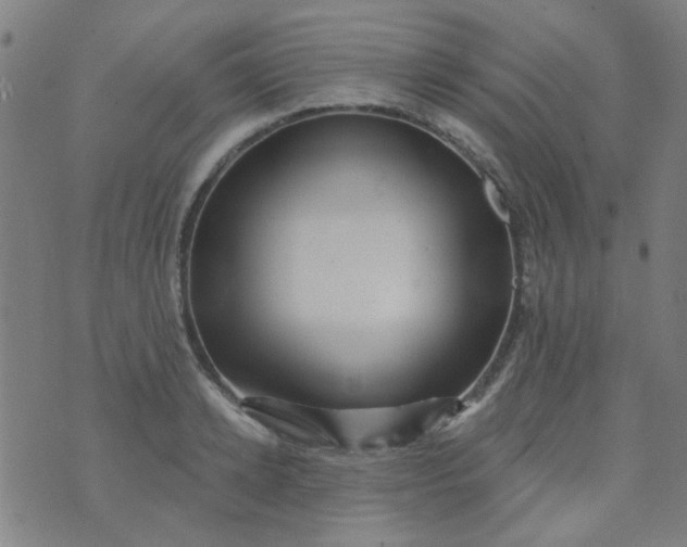 X0000070420942200606231849