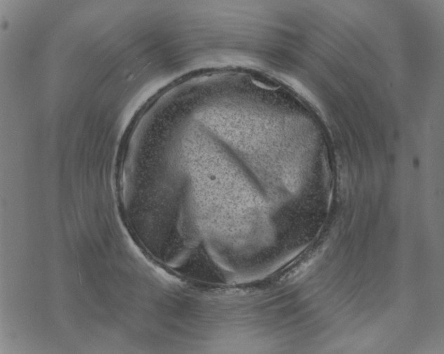 X0000070420943200606231849