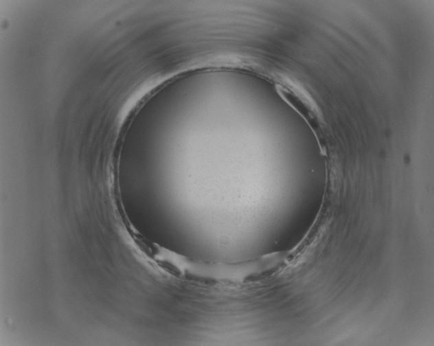 X0000070420944200606231849