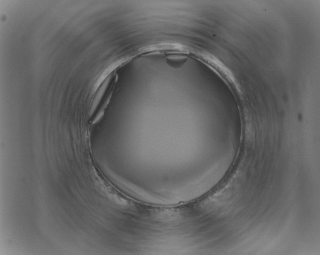 X0000070420945200606231849