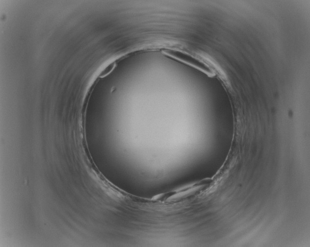 X0000070420948200606231849