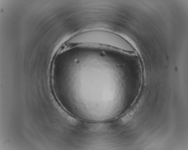 X0000070420949200606231849