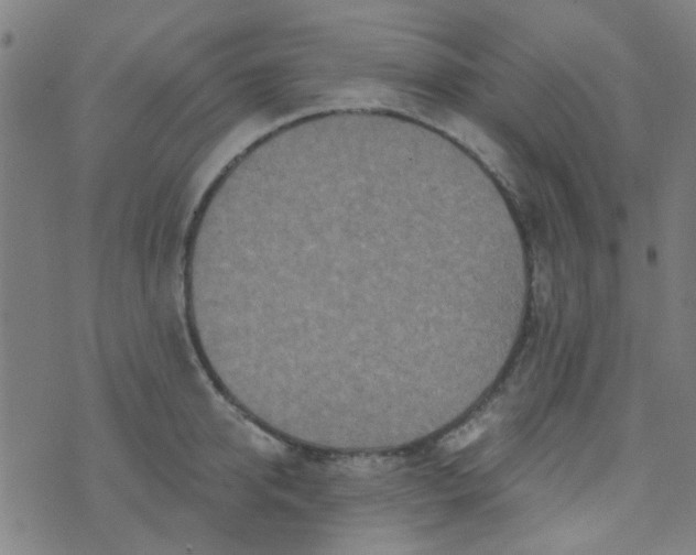 X0000070420950200606231850