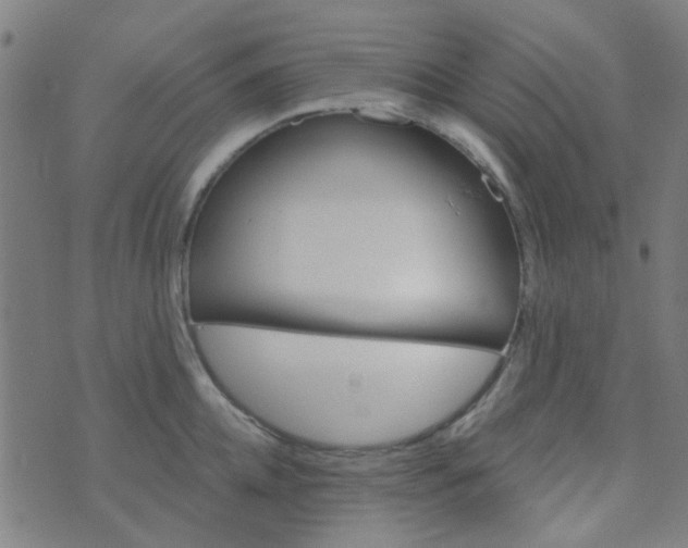 X0000070420952200606231850