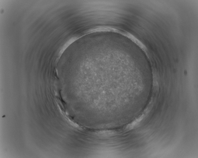 X0000070420953200606231850