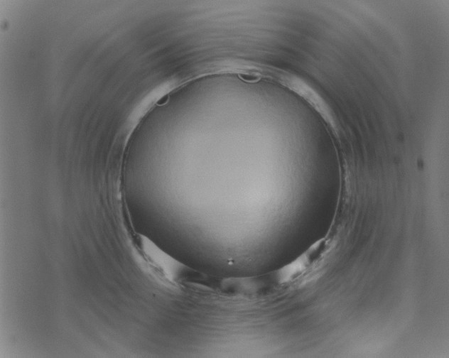 X0000070420954200606231850