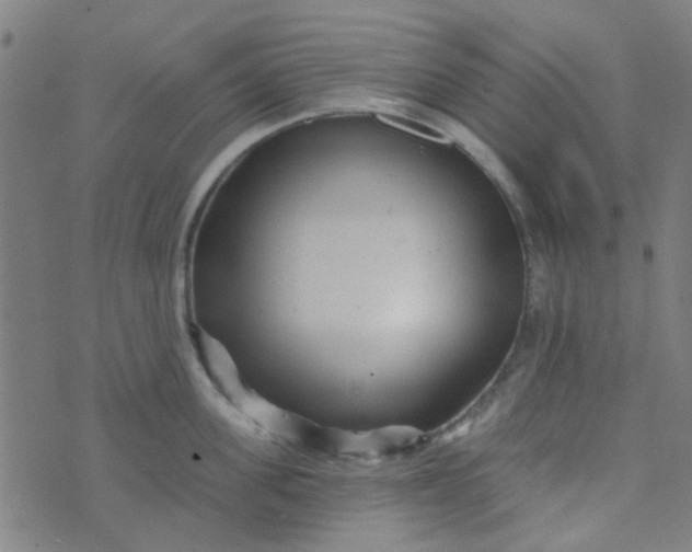 X0000070420955200606231850