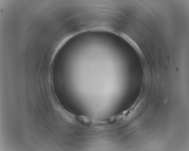 X0000070420956200606231850