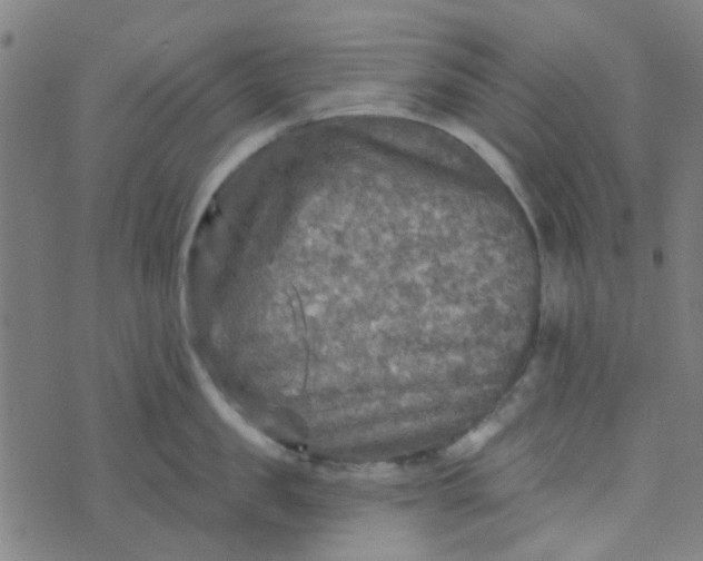 X0000070420957200606231850