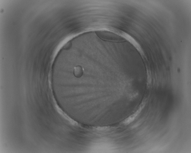 X0000070420958200606231850