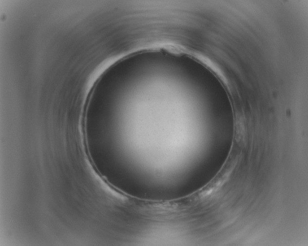 X0000070420959200606231850