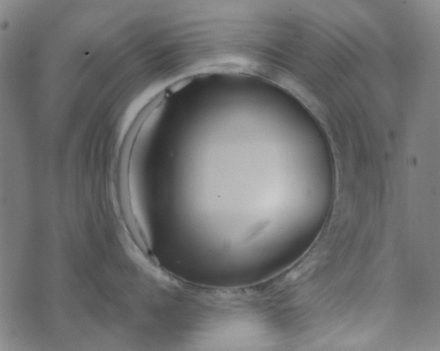 X0000070420960200606231850