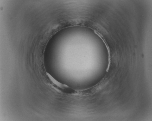 X0000070420961200606231849