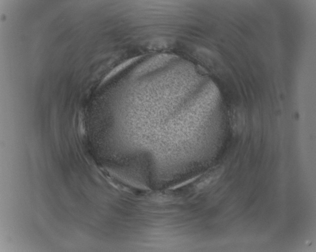 X0000070420962200606231849