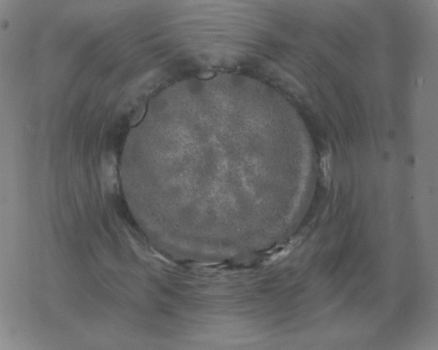 X0000070420963200606231849