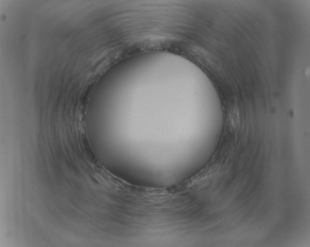 X0000070420964200606231849