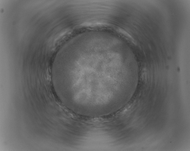 X0000070420966200606231849