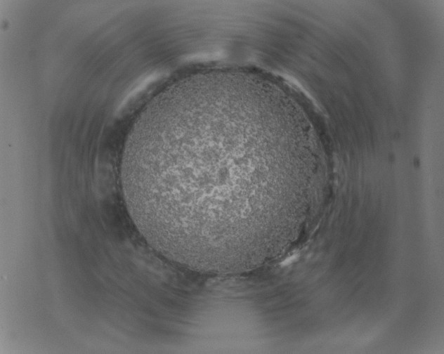 X0000070420967200606231849