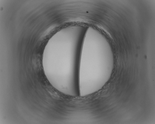 X0000070420968200606231849