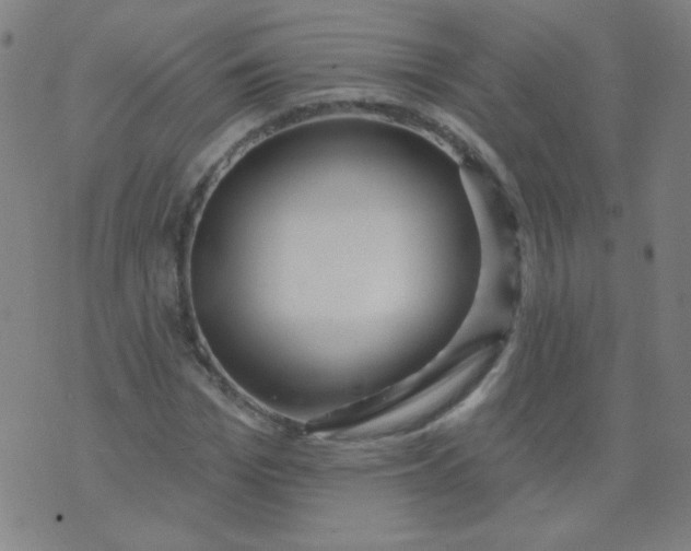 X0000070420969200606231849