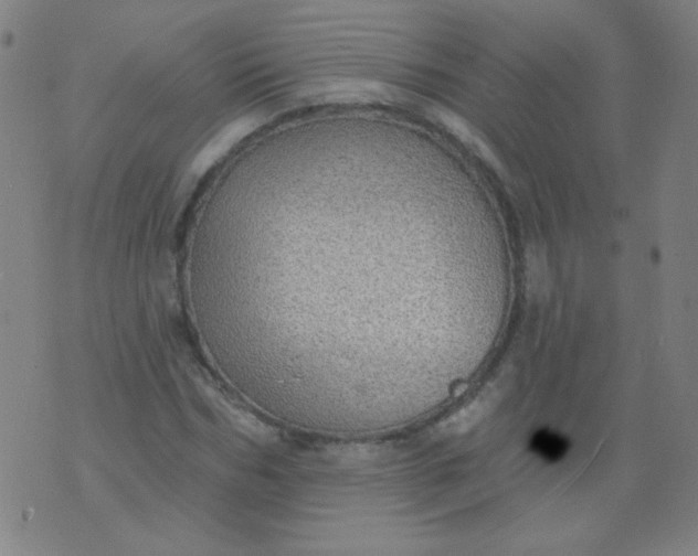 X0000070420970200606231849