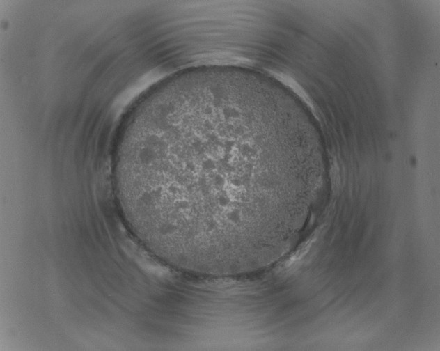 X0000070420971200606231849