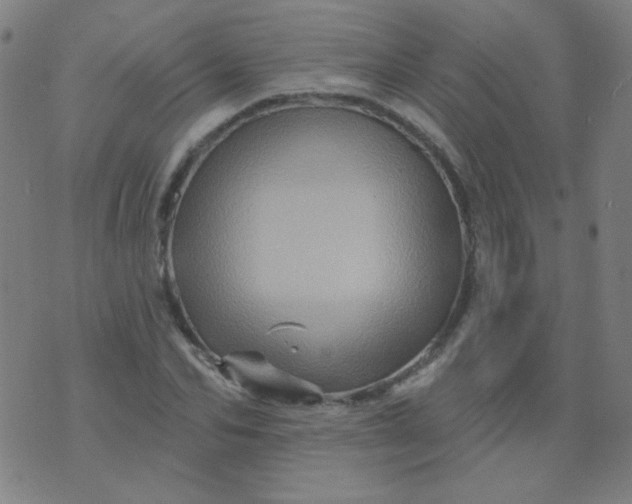 X0000070420974200606231849