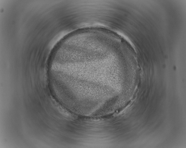 X0000070420975200606231849