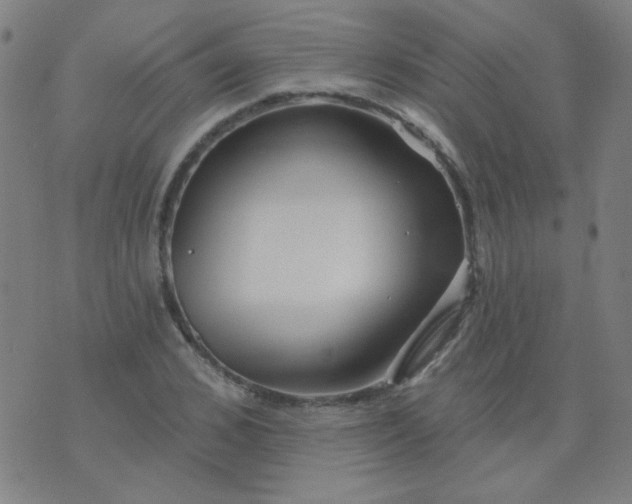 X0000070420976200606231849