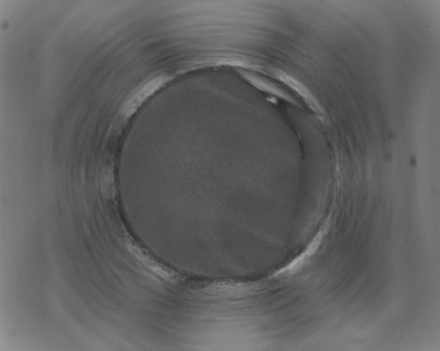 X0000070420977200606231849