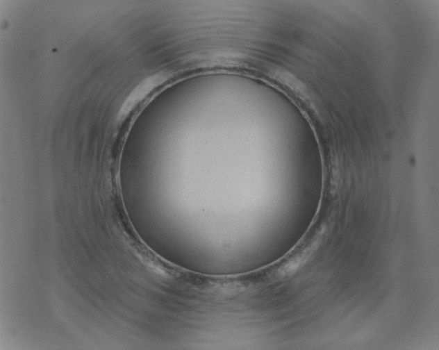 X0000070420978200606231849