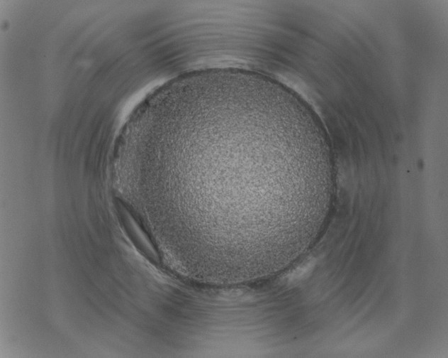 X0000070420979200606231849