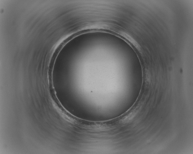 X0000070420980200606231849