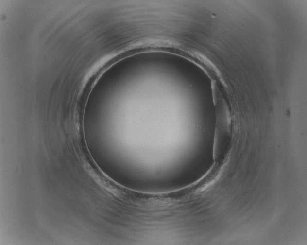 X0000070420981200606231849