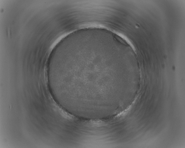 X0000070420983200606231849