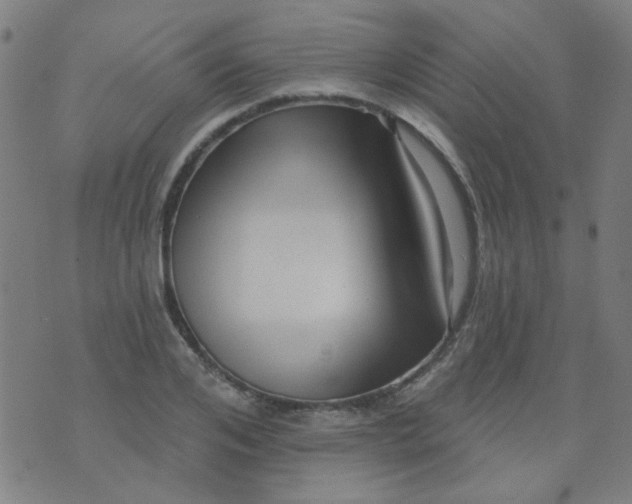 X0000070420984200606231849