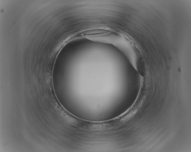 X0000070420985200606231849