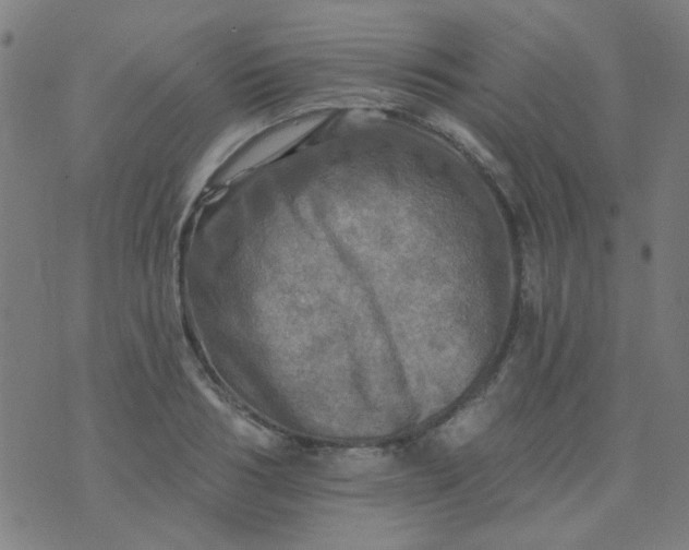 X0000070420986200606231848