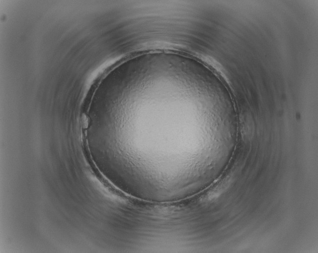 X0000070420987200606231848