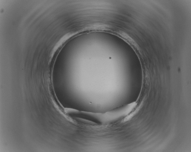 X0000070420989200606231848