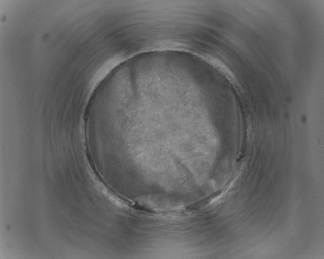 X0000070420990200606231848