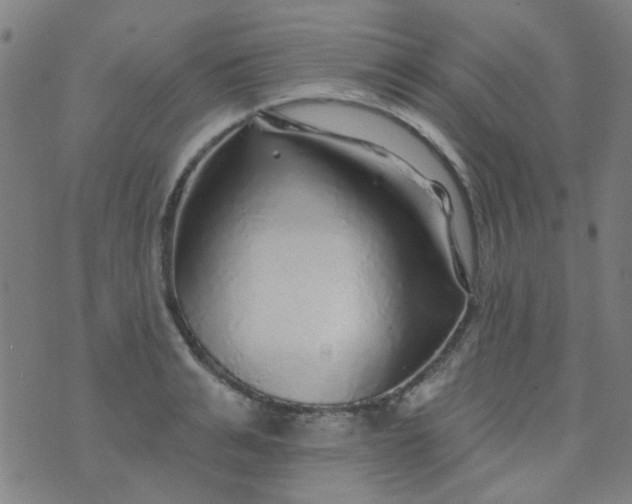 X0000070420991200606231848