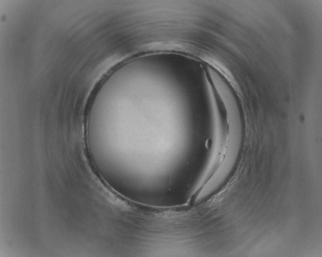 X0000070420992200606231848